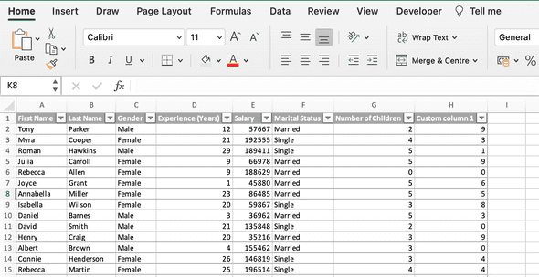 dataset example